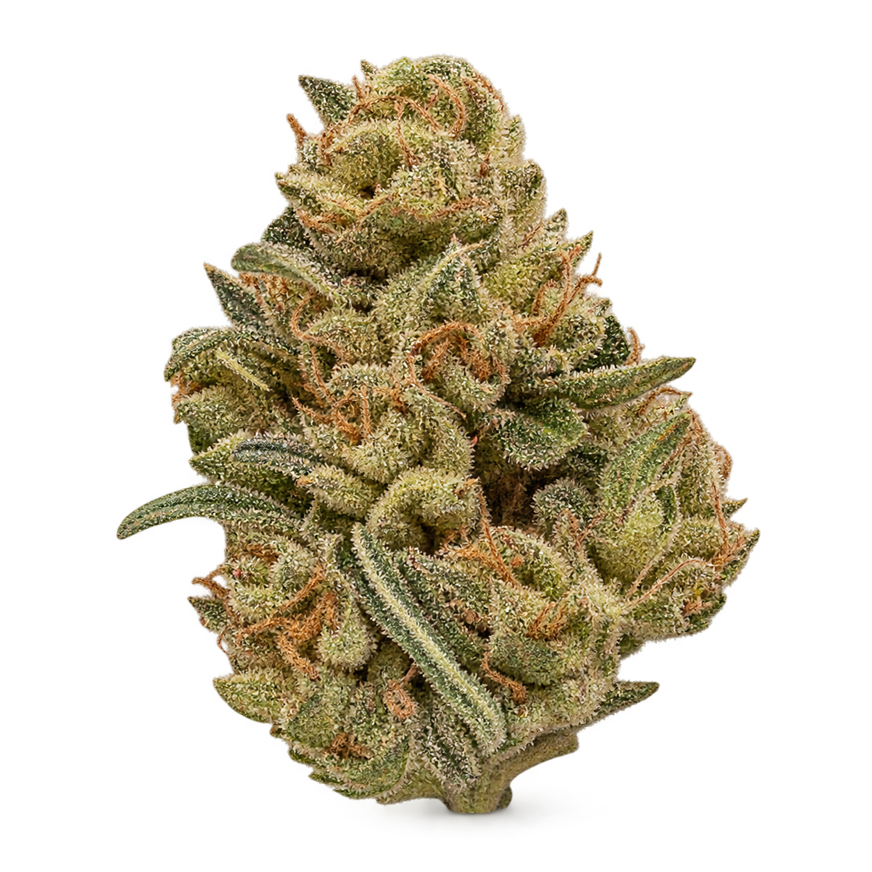 Airy natural cannabis flower cutout candidate